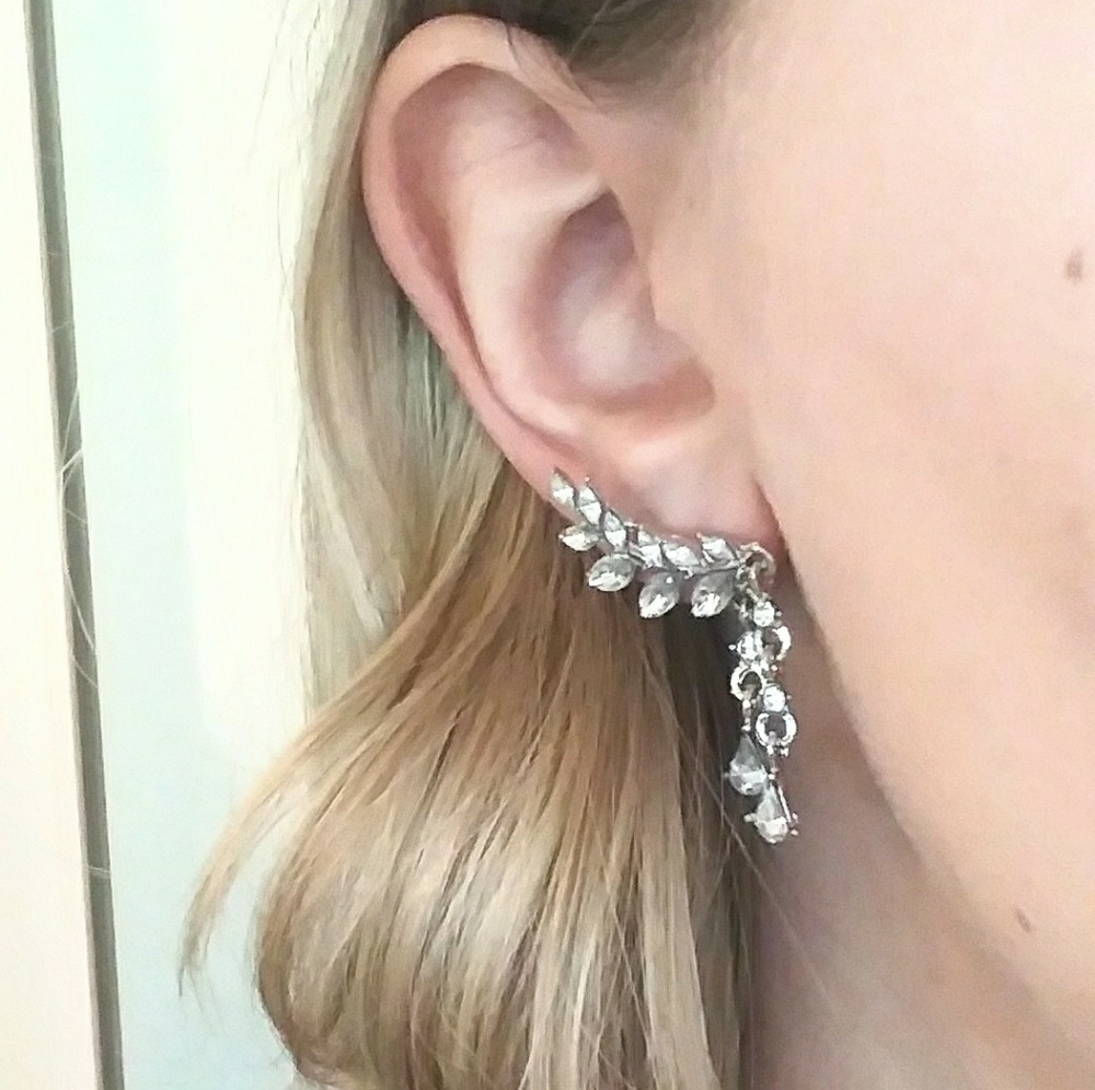 Silver Branch Earrings
